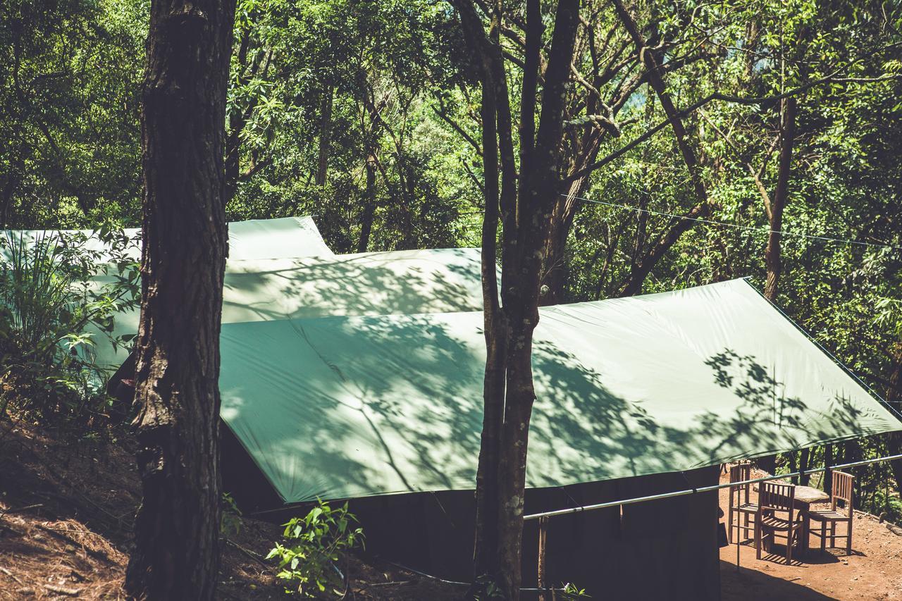 Ella Glamping Hotel Exterior photo