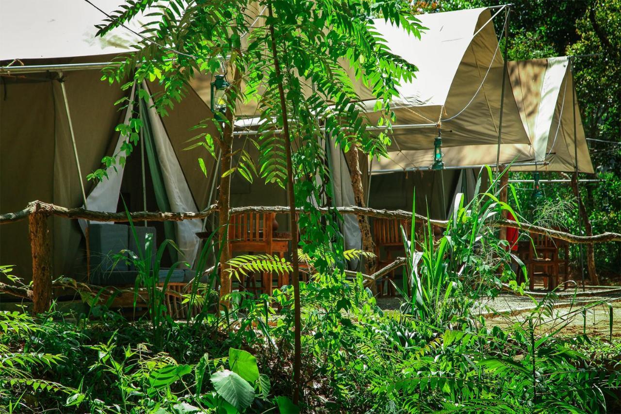 Ella Glamping Hotel Exterior photo